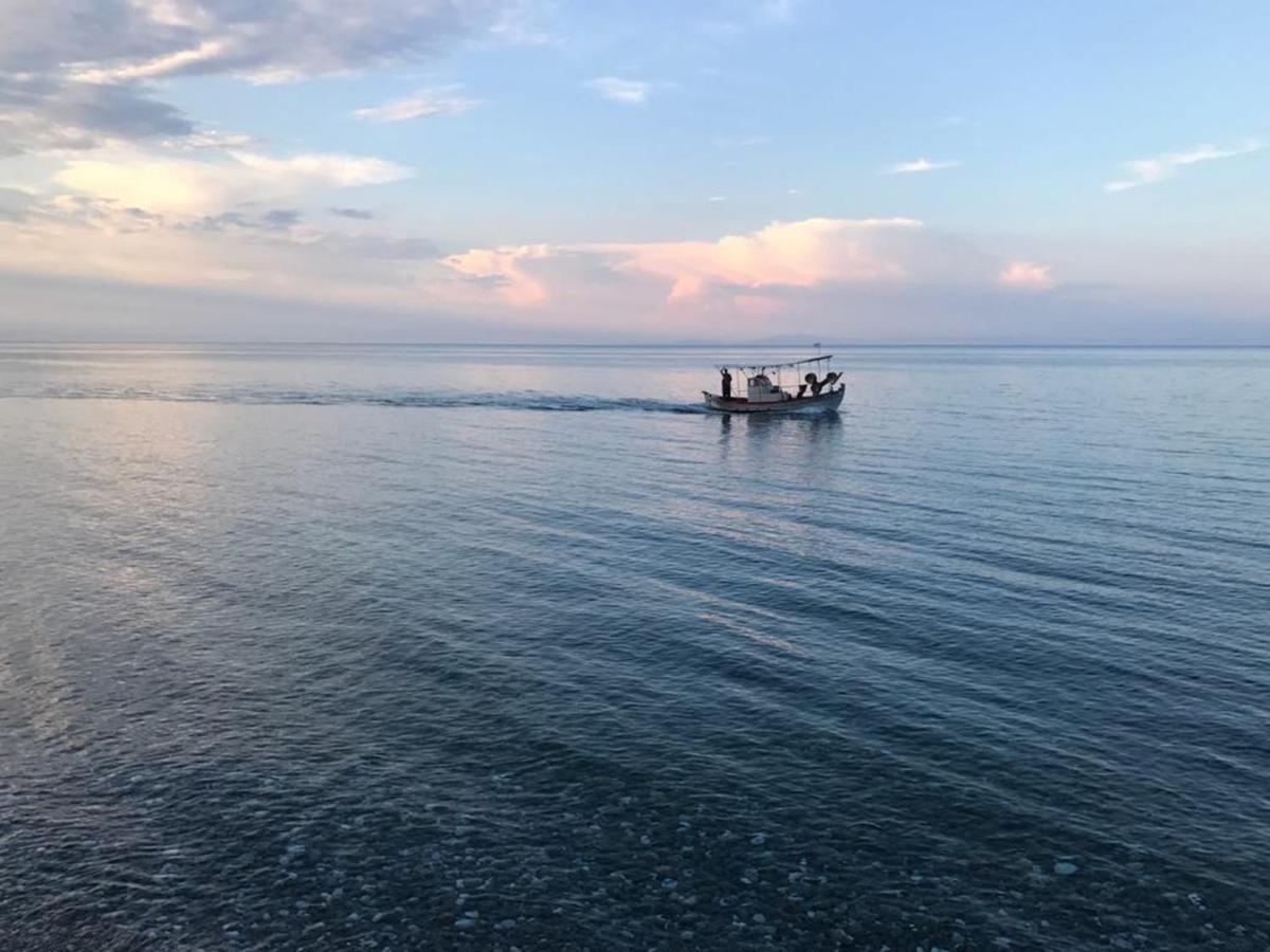 Olympus Beach Aigani Family House Экстерьер фото